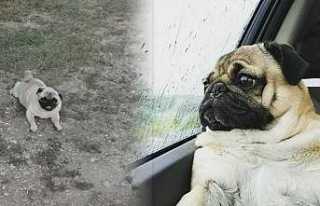 Bulana Ödül Verilecek