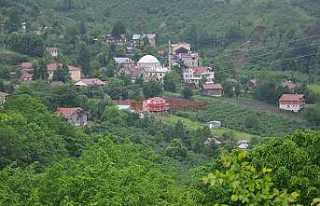 Hendek’te 10 Mahalle Köy Statüsüne Dönmek İstiyor