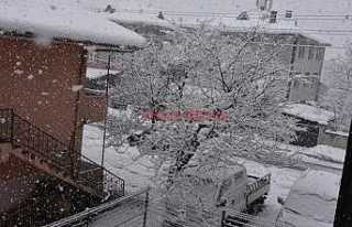 Hendek’te Kar Yağışı Etkisini Arttırmaya Başladı