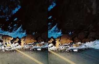 Yol Düşen Taşlara Dikkat