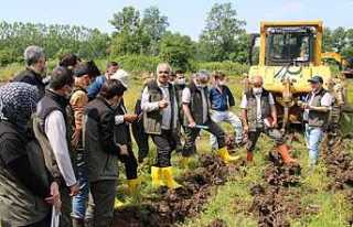 Ağaçlandırma ve Fidan Üretim Eğitimi Hendek’te...