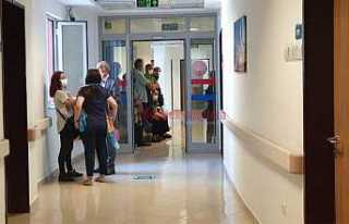 Aşıya Yoğun İlgi