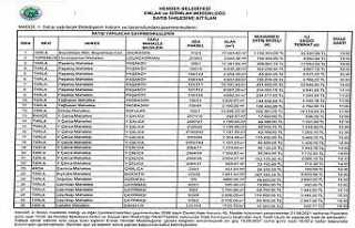 Hendek Belediyesinden İhale Duyurusu