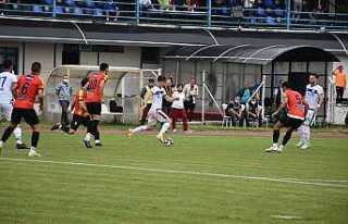 Hendekspor Çeyrek Finalde