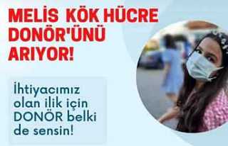 Hendekli Melis Kök Hücre Donörünü Arıyor