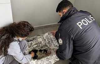 Asya’dan İnsanlık Dersi