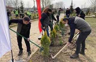Hendek’te 21 Mart Dünya Ormancılık Haftası Coşkusu