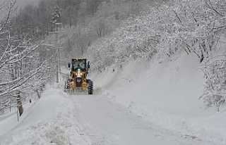 Karla Mücadele Timi Alarmda