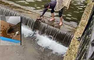 Donmak Üzere Olan Kedi Kurtarıldı