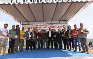 En İyi Av Köpekleri Yarıştı