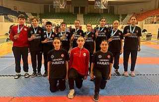 Hendek Olimpik'ten madalya şov!