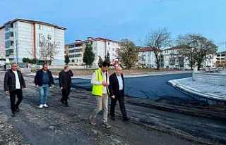 Hendek’e Değer Katan Çalışmalar Sürüyor