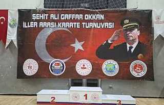 Hendek karate şöleni yaşanacak