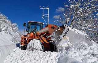 Hendek’te Karla Mücadele Çalışmaları Aralıksız...