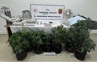Jandarmadan Uyuşturucu Operasyonu
