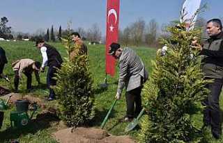 Hendek’te Fidanlar Toprakla Buluştu