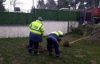 Hendek’te Yeşil Alanlarda Temizlik Ve Ağaçlandırma...