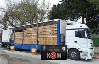 Hendek’te 8 Milyon Adet makaron Ele Geçirildi