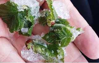 Meteoroloji’den Soğuk Hava ve Zirai Don Uyarısı