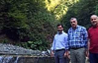 300 MİLYONLUK YATIRIM