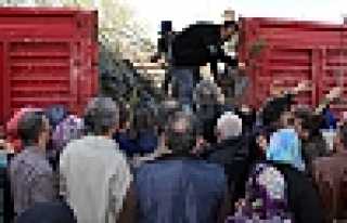 3877 ADET FİDAN DAĞITILDI