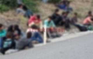 90 MÜLTECİ YAKALANARAK HENDEK’E GETİRİLDİ