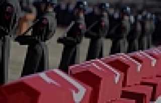 Acımız Büyük Yüreğimiz Buruk