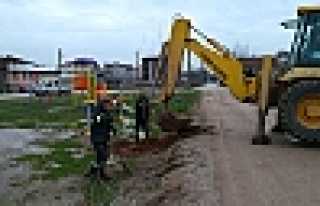 HENDEK'TE AĞAÇLANDIRMA ÇALIŞMASI