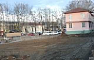 AĞAÇLARIN KİME ZARARI VARDI?