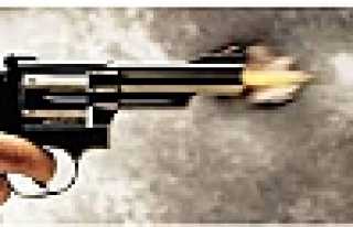 AMCA İLE YEĞENİ VURUP KAÇTI