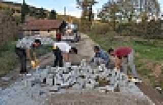 Aşağıhüseyinşeyh’e Kilitli Parke