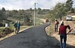 Asfalt Ekibi Bıçkıatik’te