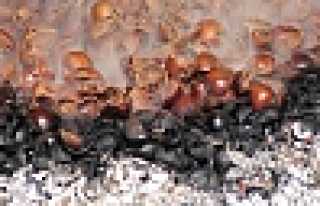 Asfaltta Ateş Yakanlara Ceza