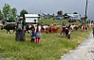 Asırlık Gelenek Yaşatılıyor