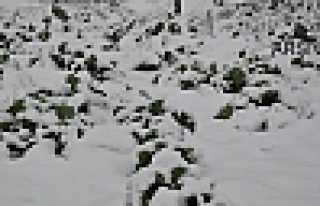 BAHAR GELDİ DERKEN KAR YAĞDI