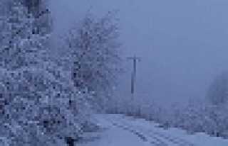 Bakacak Mahallesinde Kar Kalınlığı 30cm'e Ulaştı