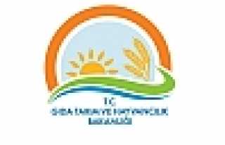 BAKANLIKTAN KÜÇÜK AİLE İŞLETMELERİNE DESTEK