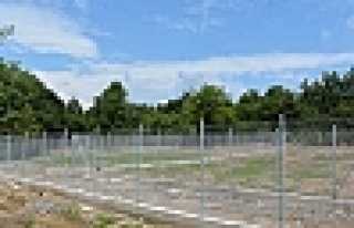 BAŞIBOŞ HAYVANLAR YUVALARINA KAVUŞACAK