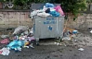 BAYRAKTEPE MAHALLESİ SAKİNLERİNDEN KONTEYNIR TALEBİ