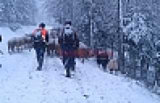 BEKLENEN KAR ZİRVEDE BAŞLADI