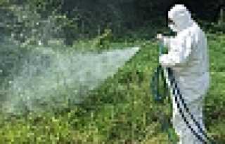 Hendek Belediyesinden İlaçlama Çalışmaları