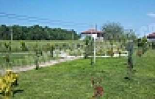   BEYLİCE’DE BOTANİK BAHÇE    