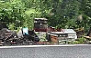 Binlerce Arı Telef Oldu