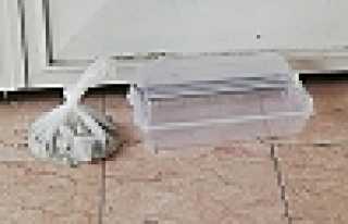 Bir Bozuk Para Hikayesi