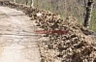 BİR TEŞEKÜR BİR SİTEM