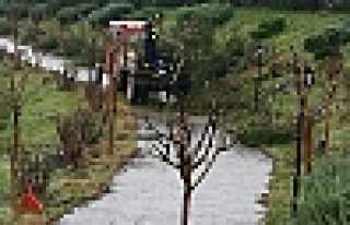 Botanik Park’ta Bakım