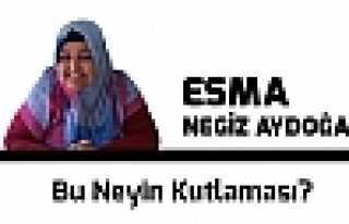 Bu Neyin Kutlaması?