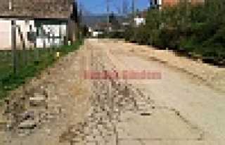 BU ŞİKAYET DEMİRKAPI SOKAKTAN 