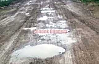 BU ŞİKAYET YENİMAHALLE’DEN 