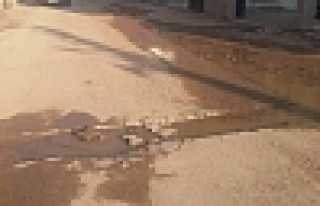 BU ŞİKAYET YENİMAHALLE’DEN